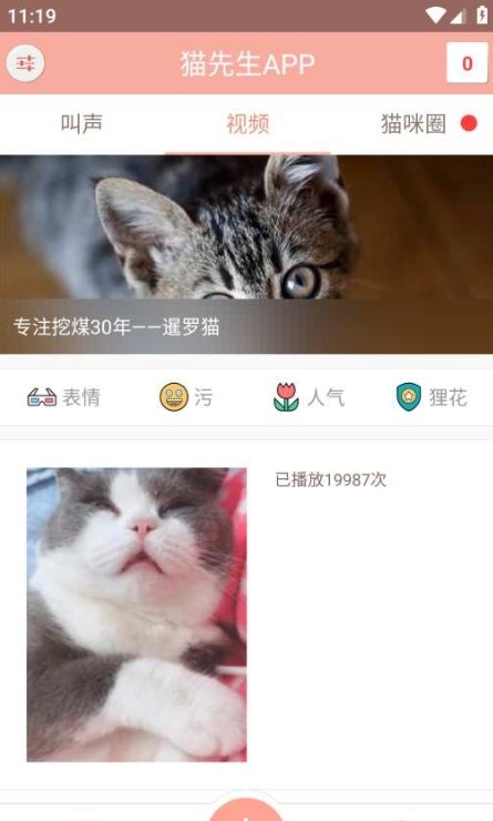 博猫管家养宠截图2